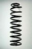 SPIDAN 49115 Coil Spring